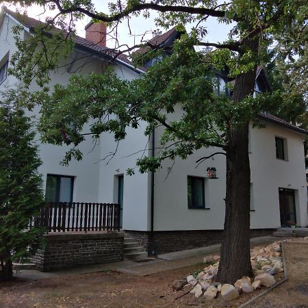 Diana Panzio Bed and Breakfast Mátrafüred Eksteriør billede