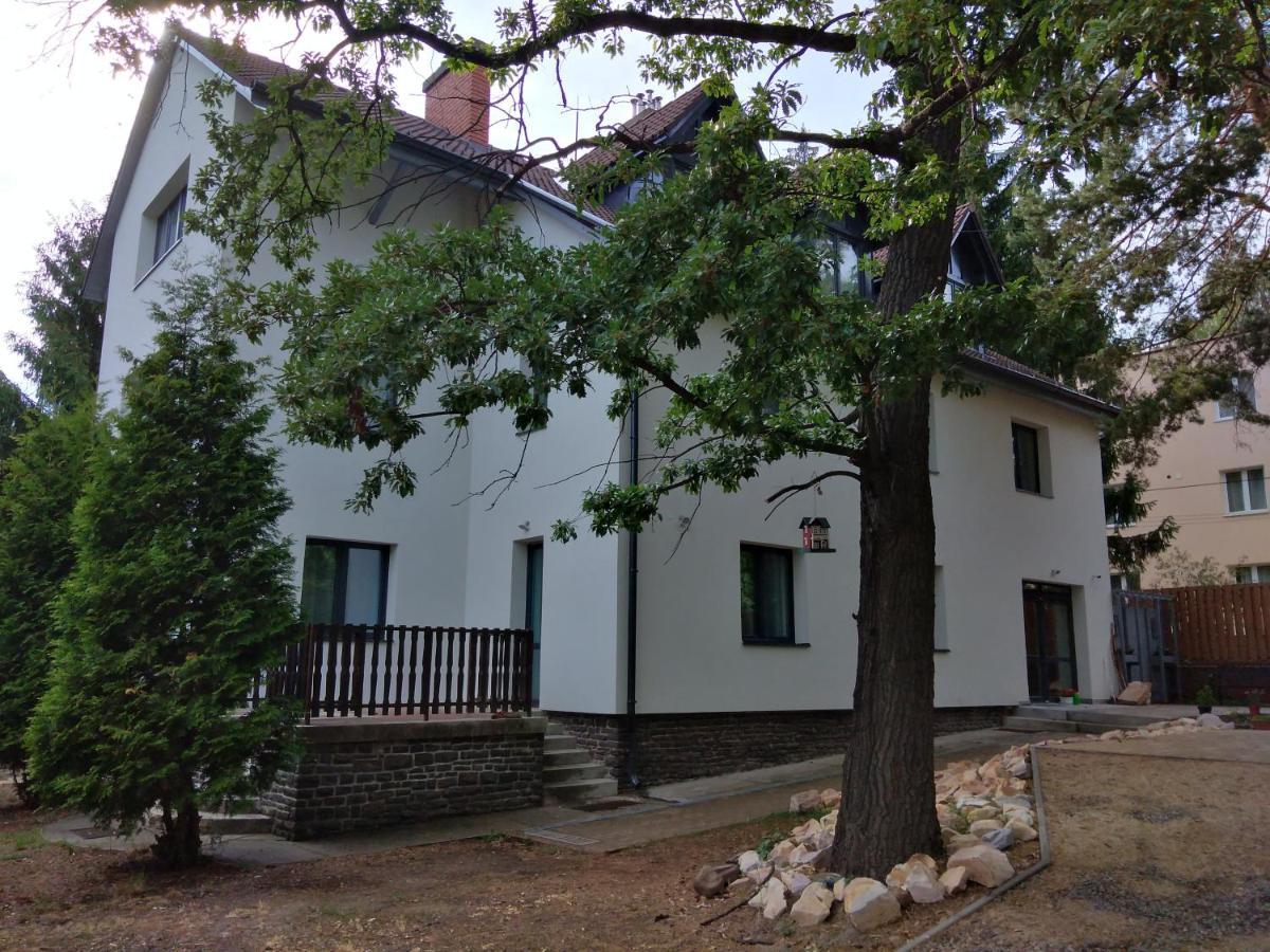 Diana Panzio Bed and Breakfast Mátrafüred Eksteriør billede