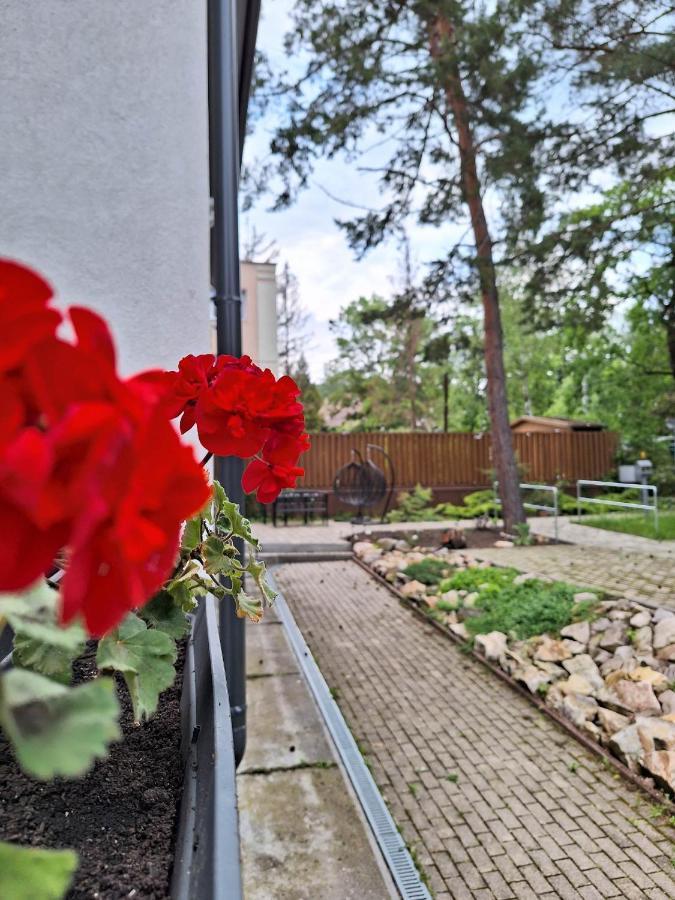 Diana Panzio Bed and Breakfast Mátrafüred Eksteriør billede